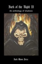 Dark of the Night II - Anthology of Shadows